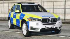BMW X5 Police for GTA 5