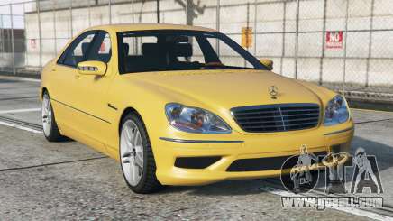 Mercedes-Benz S 55 AMG (W220) Meat Brown [Replace] for GTA 5