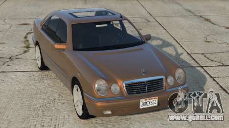 Mercedes-Benz E 420 (W210) Dark Brown Tangelo