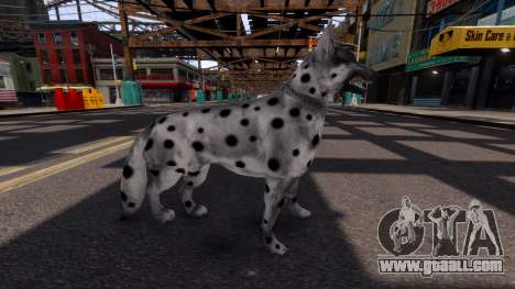 Dog for GTA 4