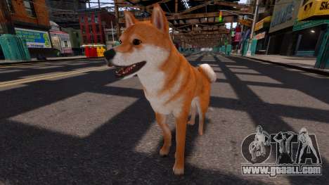 Shiba Inu for GTA 4