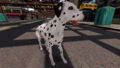 Dalmatian for GTA 4