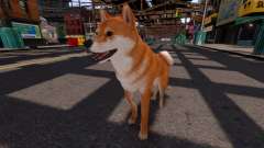 Shiba Inu for GTA 4