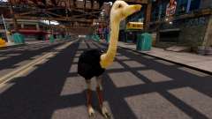 Ostrich for GTA 4