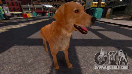 Golden Retriever for GTA 4