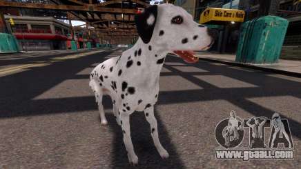 Dalmatian for GTA 4