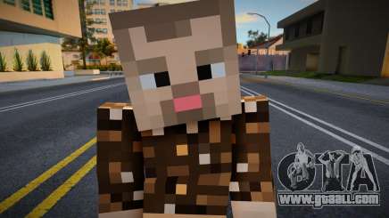 Heck2 Minecraft Ped for GTA San Andreas