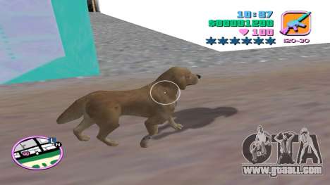 Animated Brown Dog Mod By Faizan Gaming for GTA Vice City
