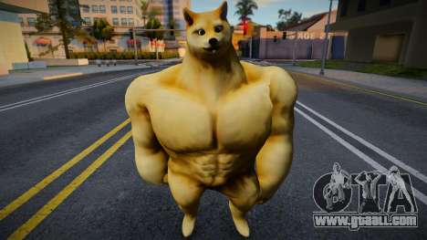 Buff Doge (Perro Doge musculoso) for GTA San Andreas