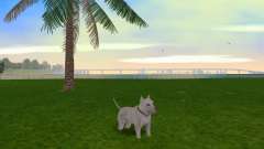 Pittbul Dog Mod for GTA Vice City