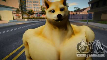 Buff Doge (Perro Doge musculoso) for GTA San Andreas