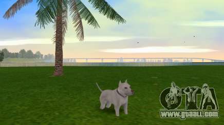 Pittbul Dog Mod for GTA Vice City