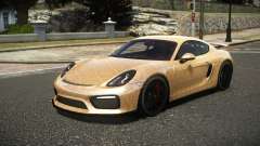 Porsche Cayman GT Sport S9 for GTA 4