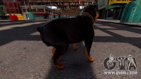 Dog Chop GTA V for GTA 4