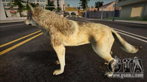 Gray Wolf for GTA San Andreas