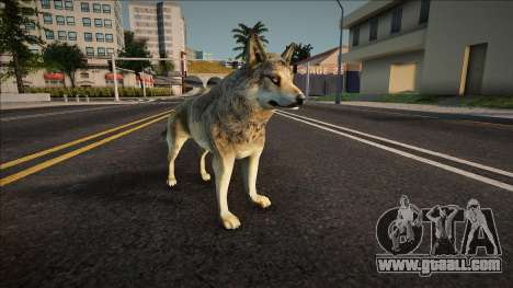 Gray Wolf for GTA San Andreas