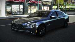 BMW 750Li F02 10th