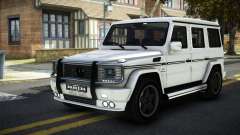 Mercedes-Benz G55 AMG FR