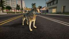 Gray Wolf for GTA San Andreas