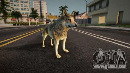 Gray Wolf for GTA San Andreas